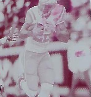 Matt Forte #142