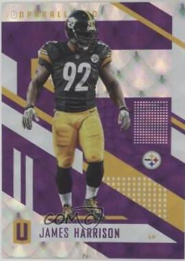 James Harrison [Purple] #28