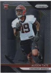 Auden Tate #292