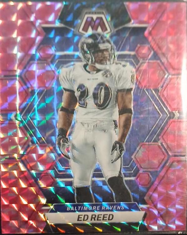 Ed Reed [Aqueous Test] #32