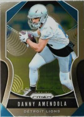 Danny Amendola #110