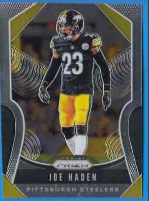 Joe Haden #98