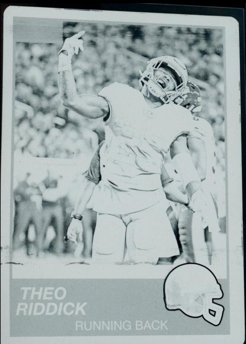 Theo Riddick #219