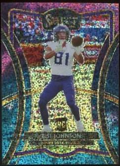 Bisi Johnson #181