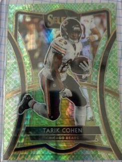 Tarik Cohen [Dragon Scale Prizm] #145