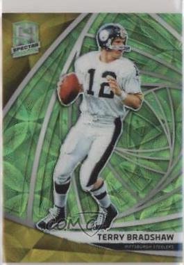 Terry Bradshaw [Neon Green] #24