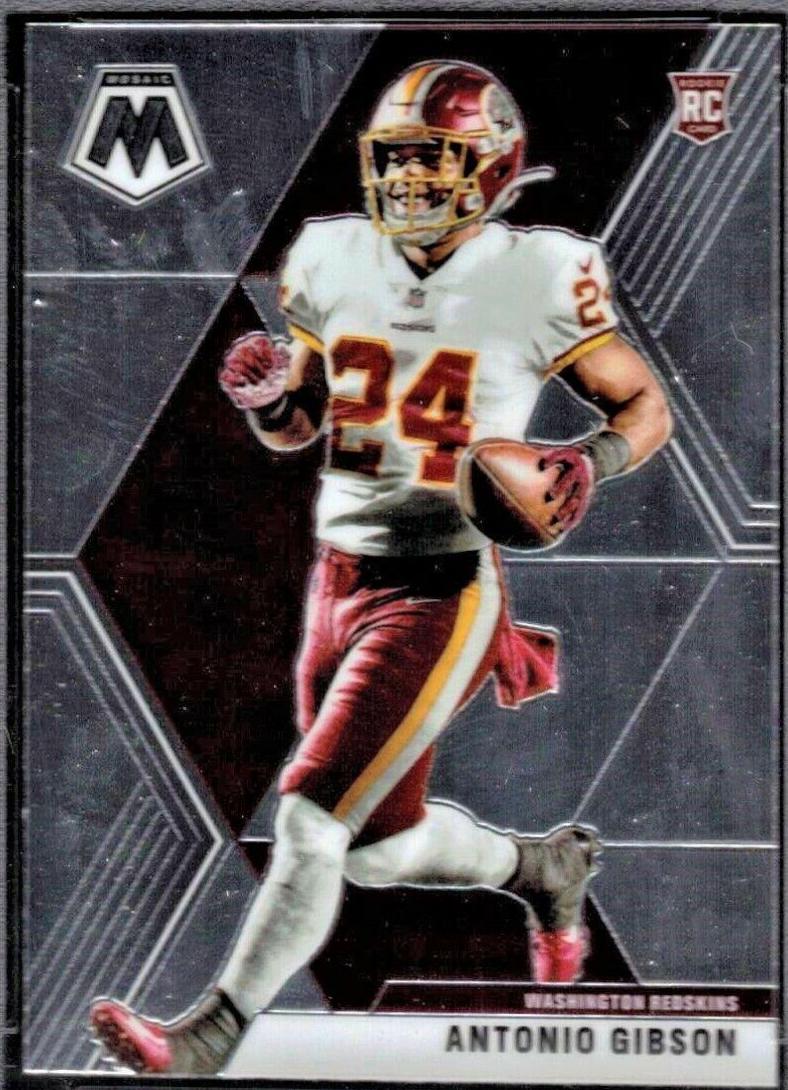 Antonio Gibson #227