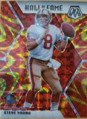 Steve Young [Gold Mosaic] #291