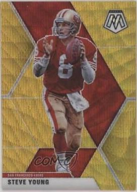 Steve Young [Gold Wave] #179