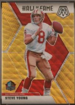 Steve Young [Gold Wave] #291