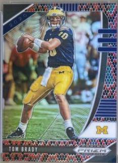 Tom Brady [Snakeskin Prizm] #97