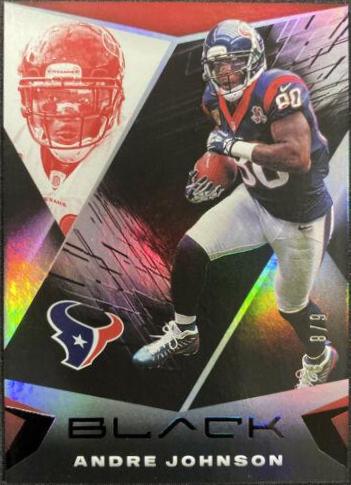 Andre Johnson [Ruby] #43