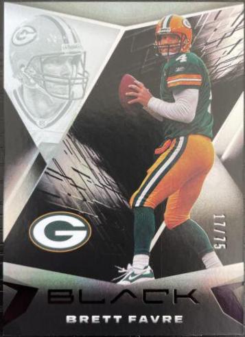 Brett Favre [Silver] #40