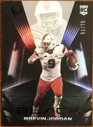Brevin Jordan #199