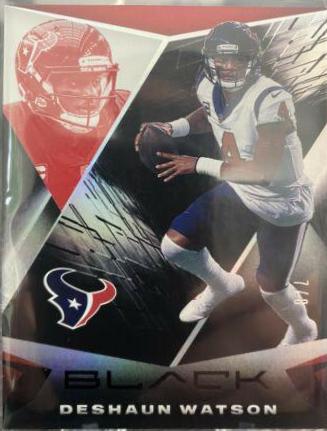 Deshaun Watson #41
