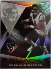 Deshaun Watson [Silver] #41