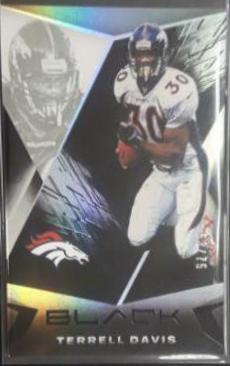 Terrell Davis [Silver] #33