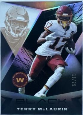 Terry McLaurin [Copper] #98