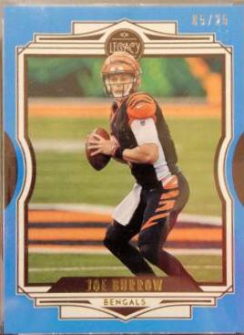 Joe Burrow [Indigo] #17