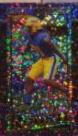 Patrick Jones II [Violet] #186