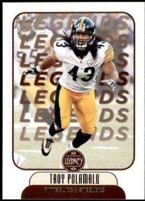 Troy Polamalu #104