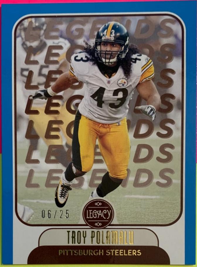 Troy Polamalu [Indigo] #104