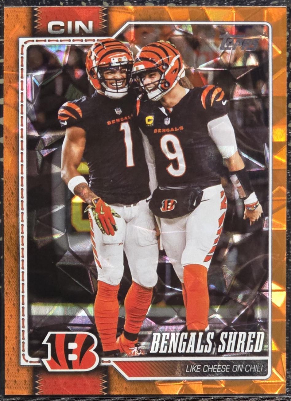 Cincinnati Bengals [Football Orange] #293