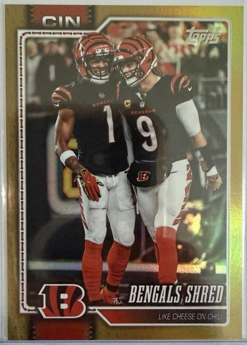 Cincinnati Bengals [Gold Rainbow] #293