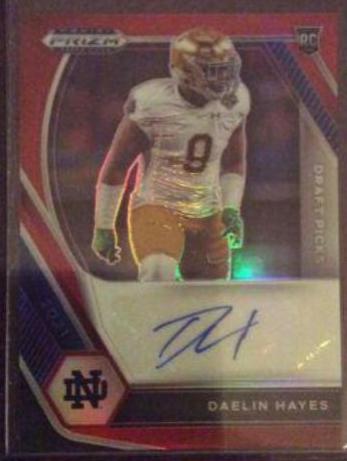Daelin Hayes #DPA-DHA