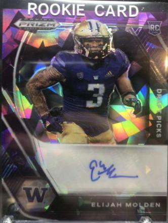 Elijah Molden [Purple Ice Prizm] #DPA-ELI