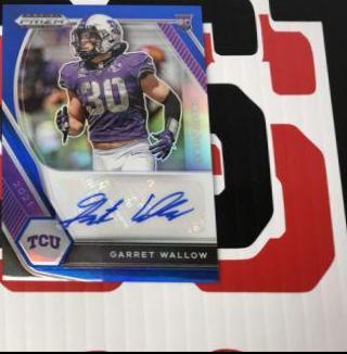 Garret Wallow [Blue Prizm] #DPA-GWA
