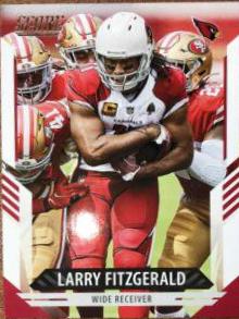 Larry Fitzgerald #243
