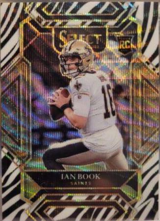 Ian Book [Zebra] #279