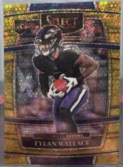 Tylan Wallace [Gold Disco] #278