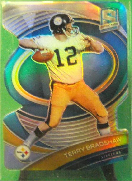 Terry Bradshaw #110