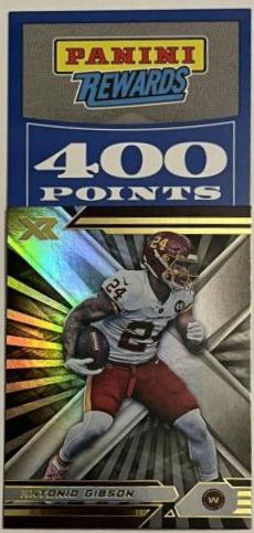 Antonio Gibson #100