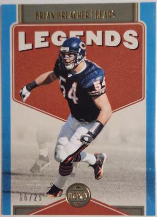 Brian Urlacher [Indigo] #108