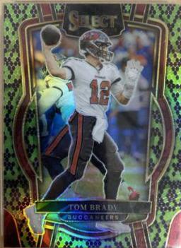 Tom Brady [Green Black Snakeskin] #207