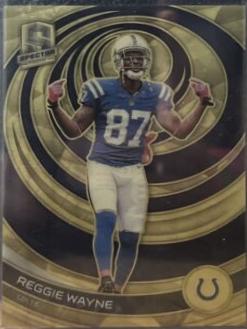 Reggie Wayne [Gold] #38