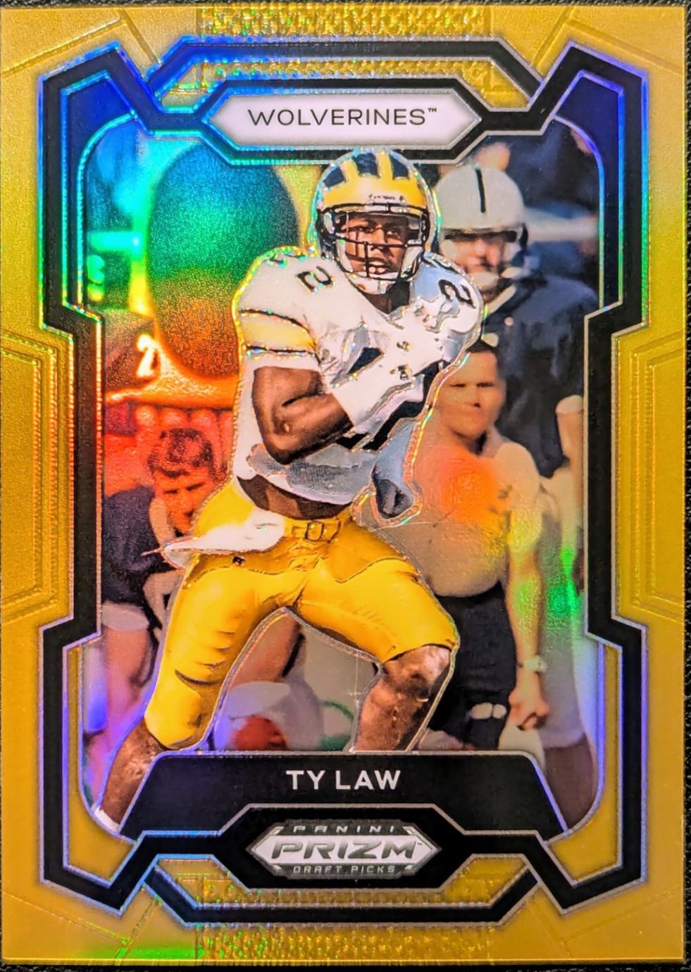Ty Law [Gold] #85