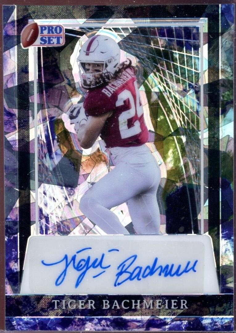 Tiger Bachmeier [Earth Crystal] #PA-TB1