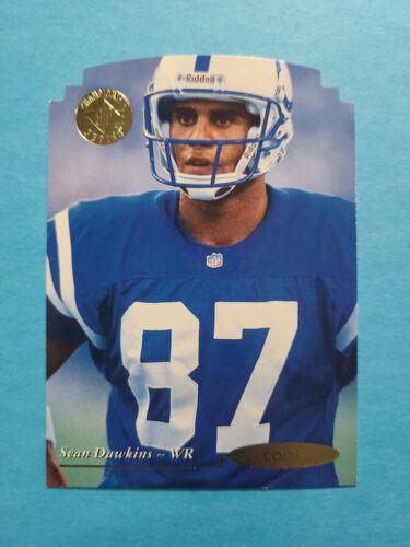 Sean Dawkins #119