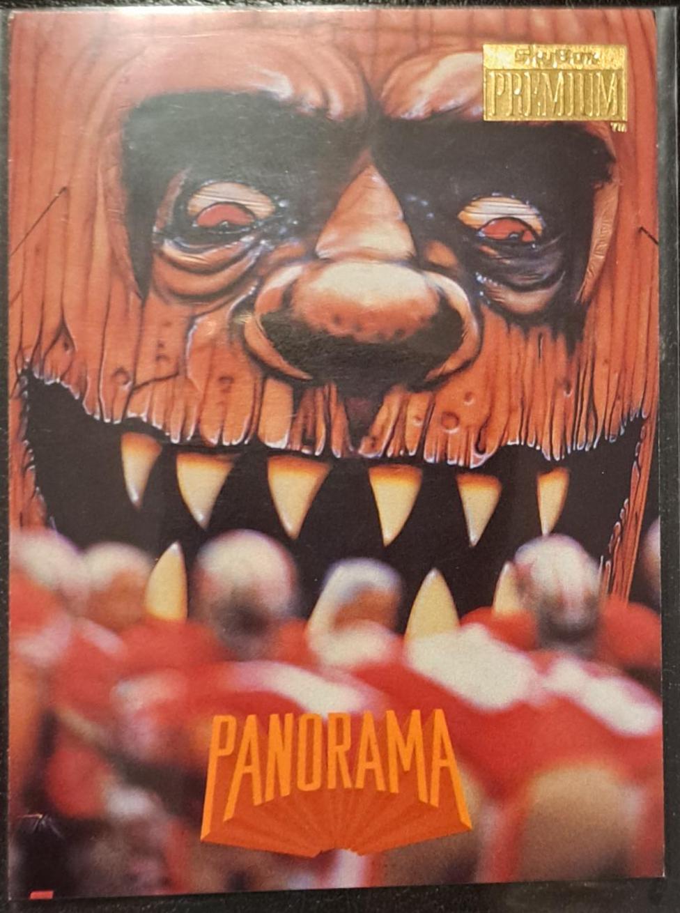 PANORAMA #244