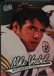 Mike Vrabel #319