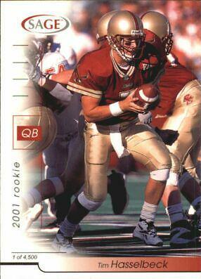 Tim Hasselbeck #20