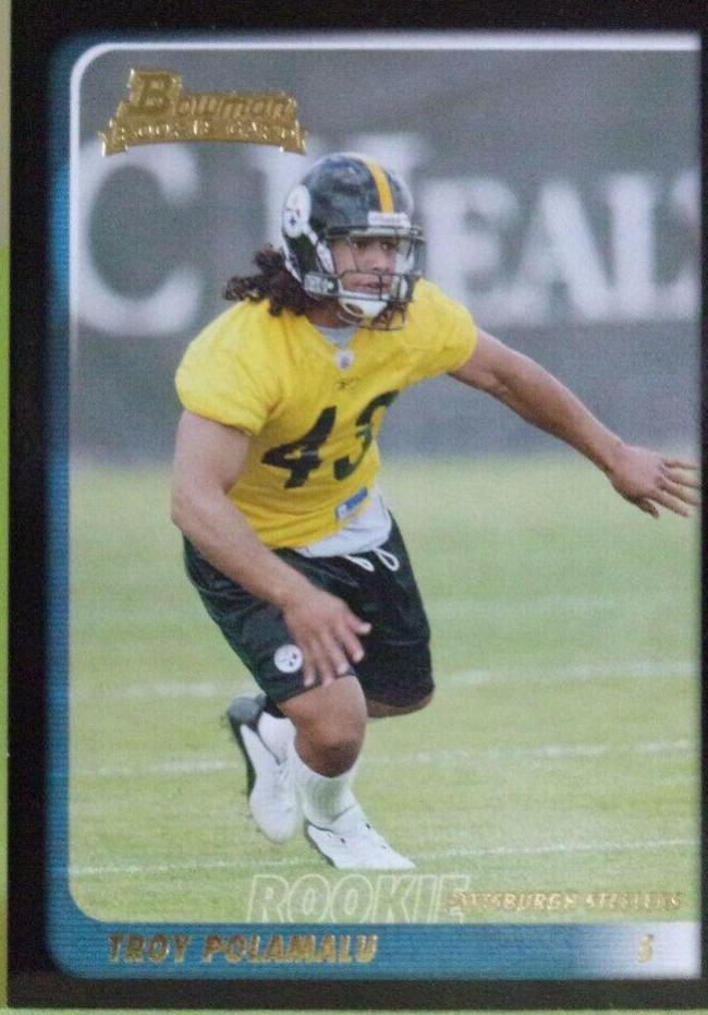 Troy Polamalu #257