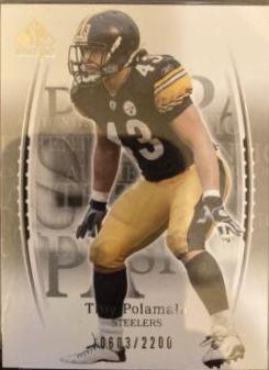 Troy Polamalu #120