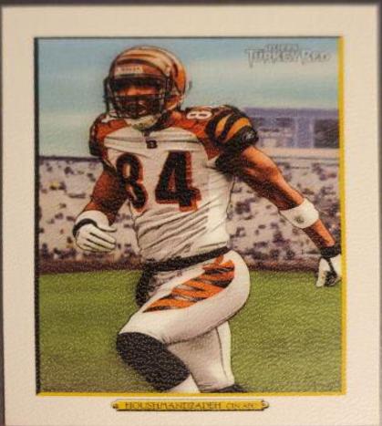T.J. Houshmandzadeh [White] #11