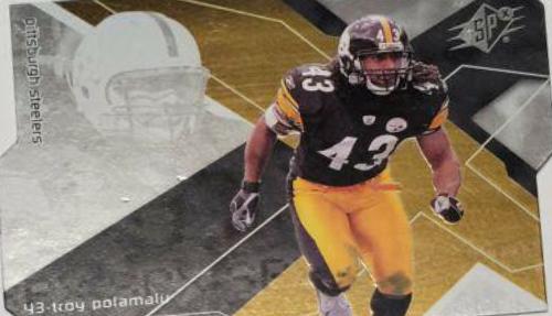 Troy Polamalu #85