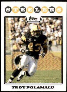 Troy Polamalu #109